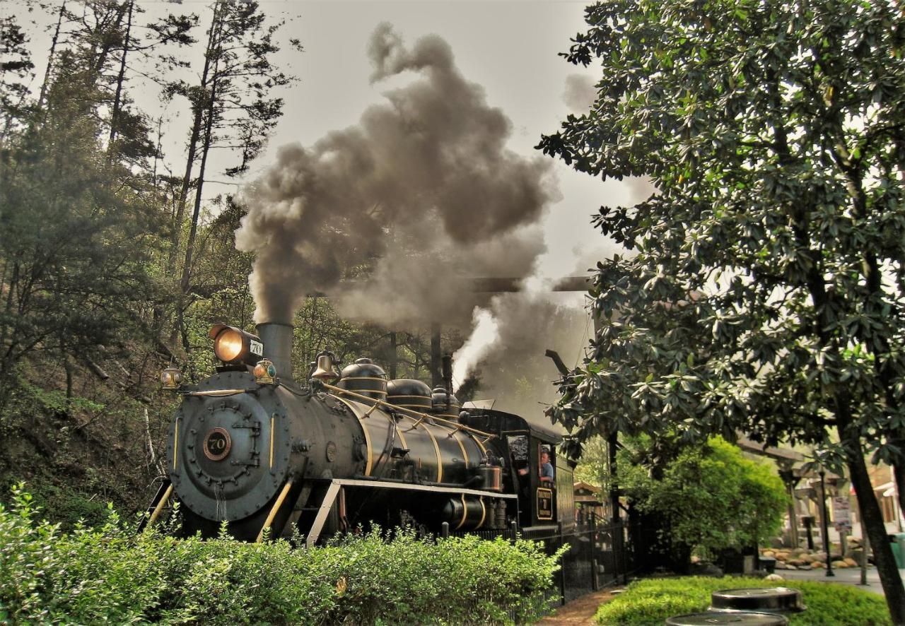 Papa Bear, Hot Tub, Wifi, 1089 Free Tickets Each Paid Day, Dollywood And More セバービル エクステリア 写真