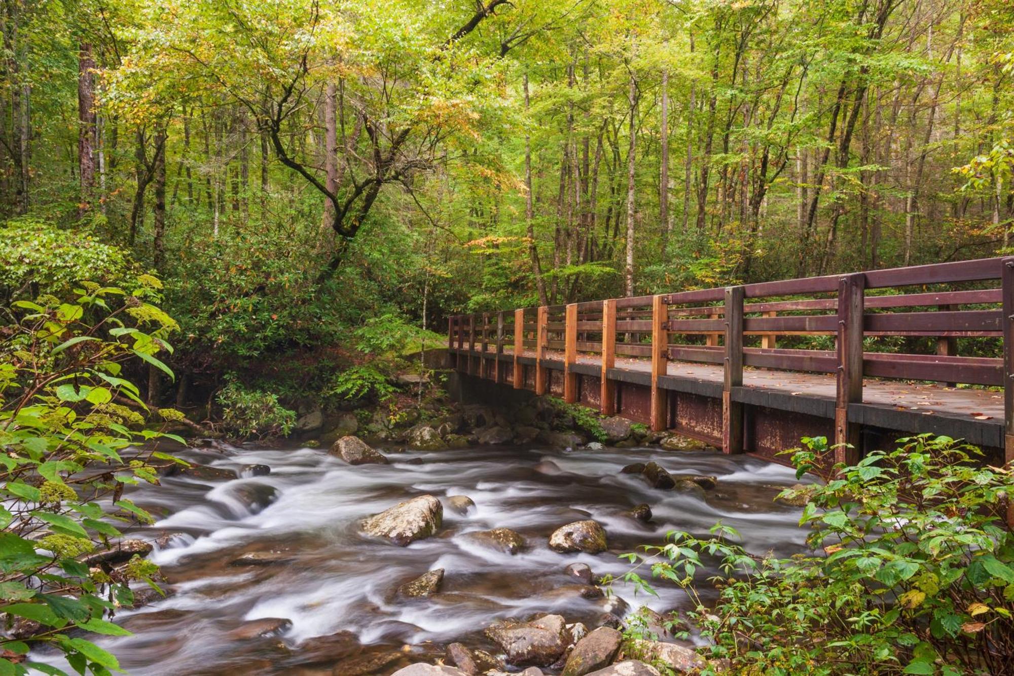 Papa Bear, Hot Tub, Wifi, 1089 Free Tickets Each Paid Day, Dollywood And More セバービル エクステリア 写真